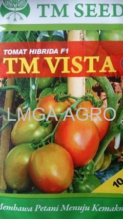 jual benih sayuran tomat tm vista f1
