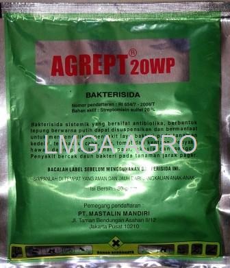 baterisida,bakterisida agrept,agrept 25 wp,bakterisida untuk cabe,agrymicin,bakterisida dan contohnya,lmga agro