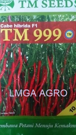 Jual benih sayuran cabe tm 999