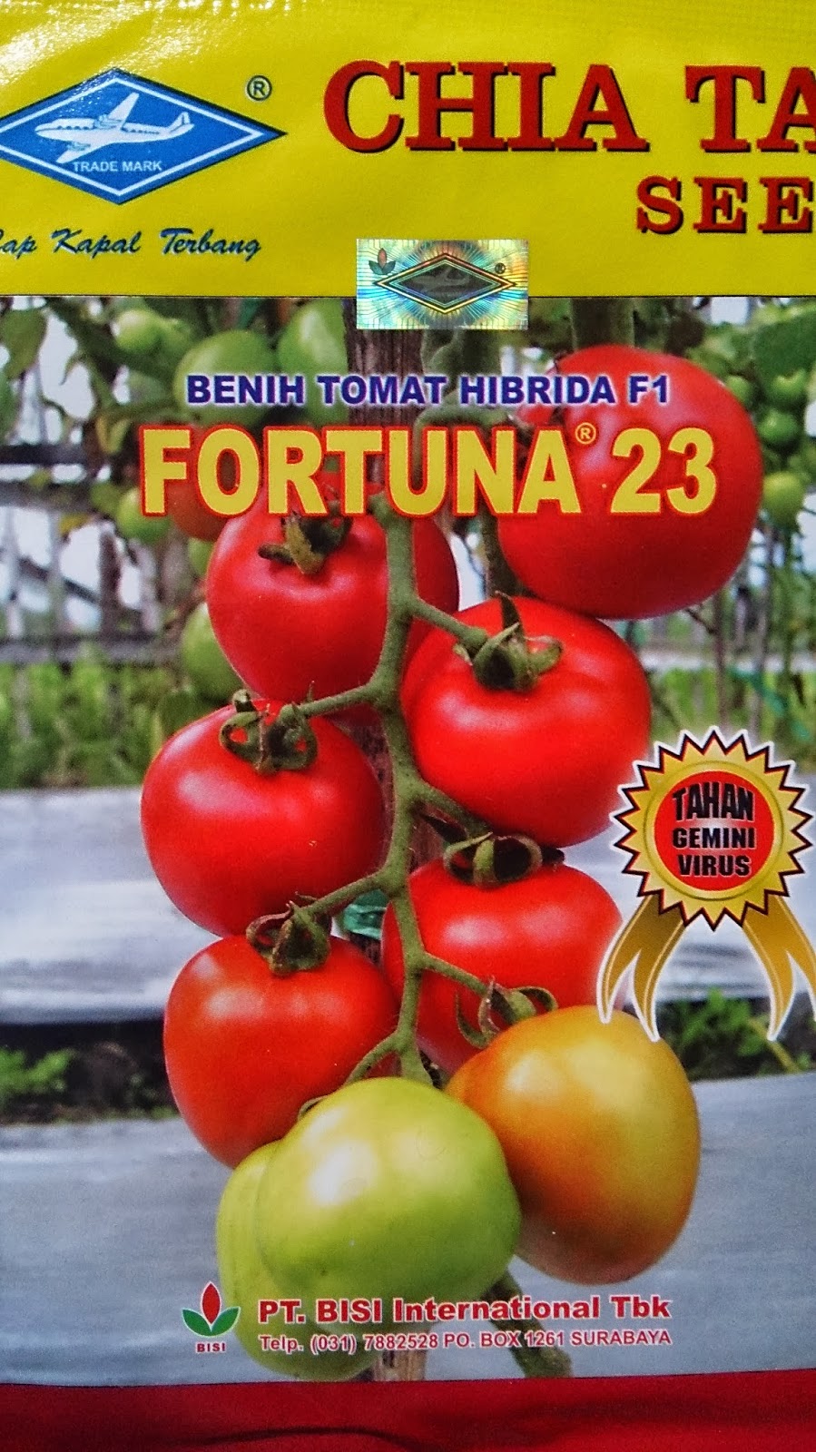 jual benih sayuran tomat fortuna f1