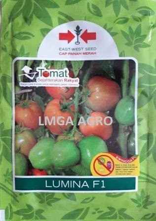 jual benih sayuran tomat lumina f1