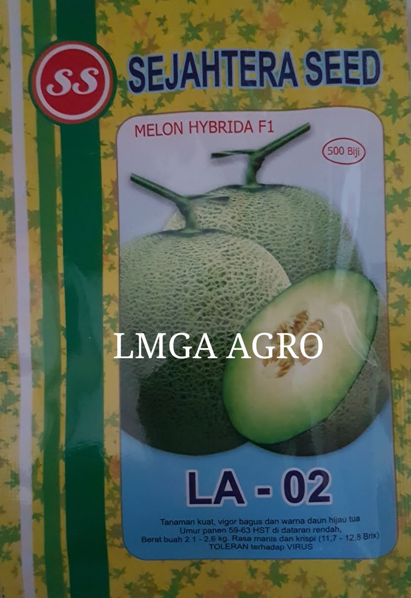 benih melon F1 LA-02, ANTI VIRUS, SEJAHTERA SEED, HARGA MURAH, LMGA AGRO