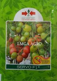 jual benih sayuran tomat servo f1