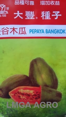 Pepaya Bangkok, Tafung Seed, Harga Murah, LMGA AGRO, Terbaru