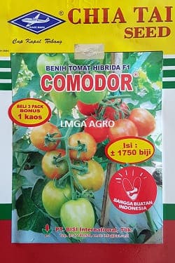 tomat comodor,benih tomat comodor,bibittomat comodor,tomat comodor murah,jual tomat comodor,tomat comodor anti virus,tomat comodor terbaik,bisi,bisi international,kapal terbang,lmga agro