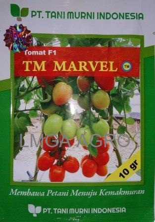jual benih sayuran tomat tm marvel f1