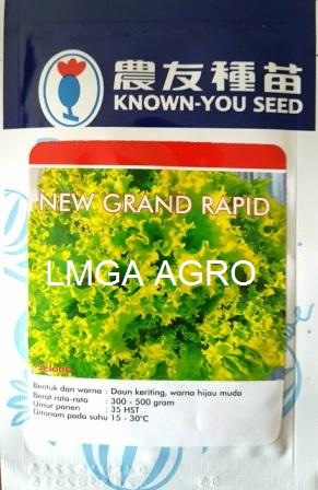 Selada New Grand Rapid, Sawi New Grand Rapid, Selada Brintik New Grand Rapid, Known You Seed, Harga Murah, Lmga Agro, Benih sawi dan Selada