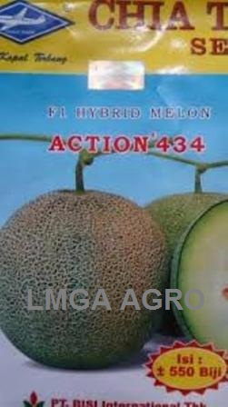 MELON ACTION 434