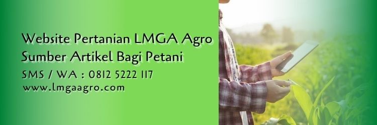 Website Pertanian LMGA Agro Sumber Artikel Bagi Petani