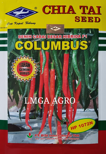 Jual benih sayuran cabe columbus f1