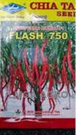 Jual benih sayuran cabe flash 750 f1